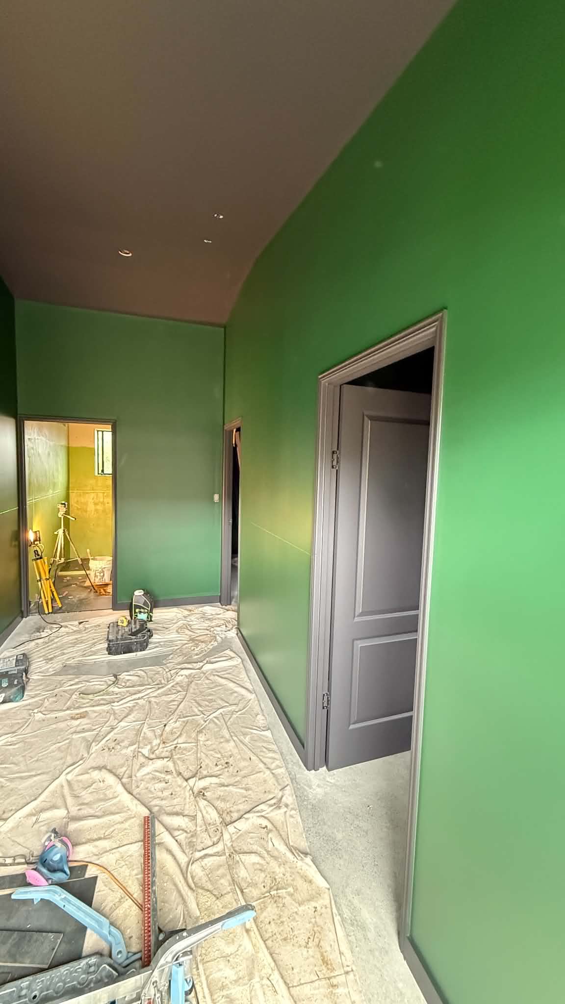 Contemporary green feature wall painting in Paddington residential lounge