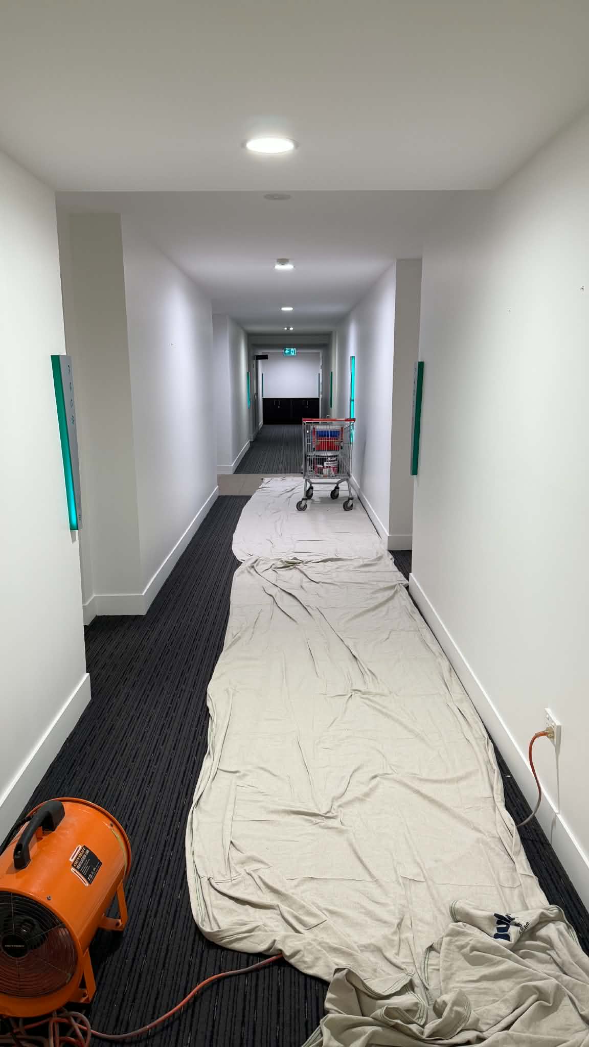 Crisp white hallway architraves and doors painted in semi-gloss enamel in Ipswich