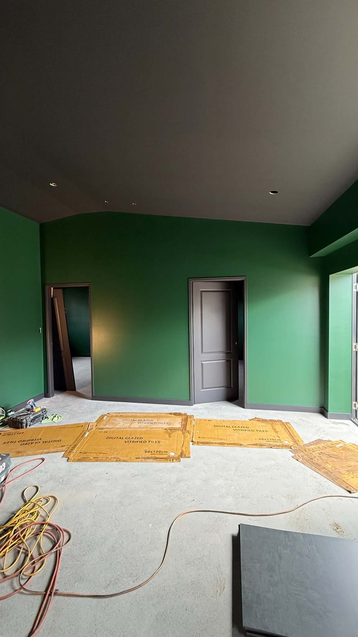 Master bedroom olive green accent wall painting with matte ceiling in Chermside
