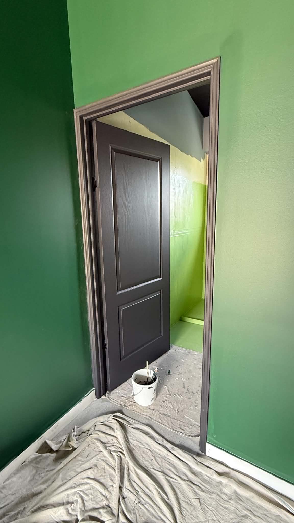 Statement olive green feature wall in Paddington residential renovation